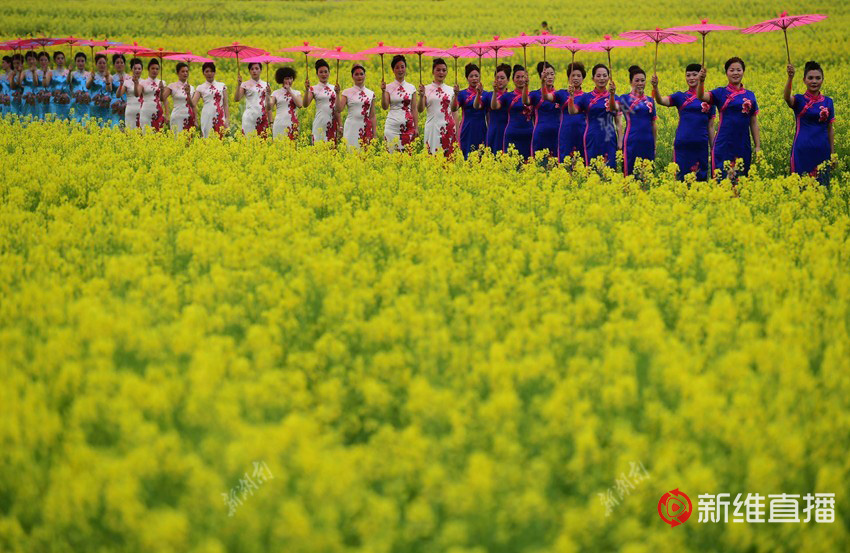 <a href='//www.newe.tv' target='_balnk'>湖南</a>油菜花节召开