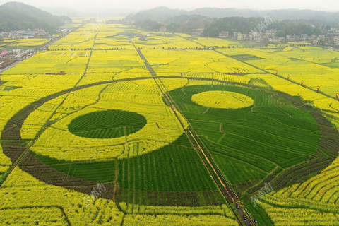 2018湖南首届油菜花节视频