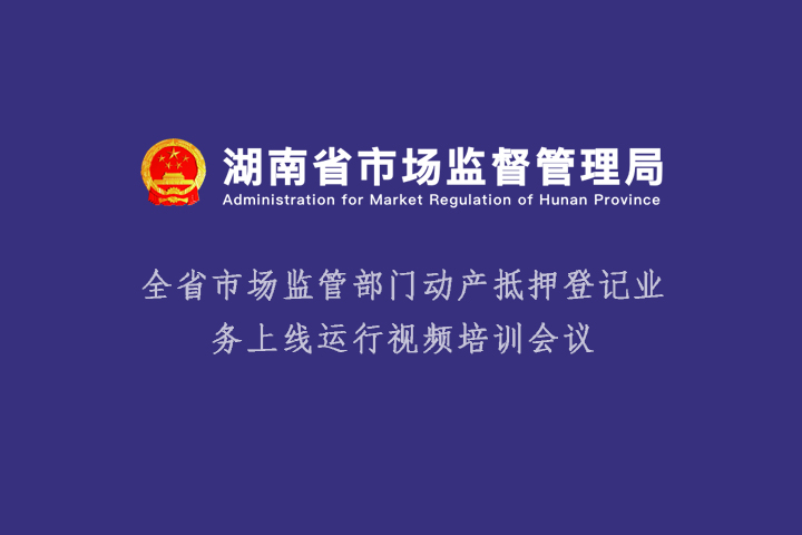 省市场监管部门动产抵押登记上线视频培训会议